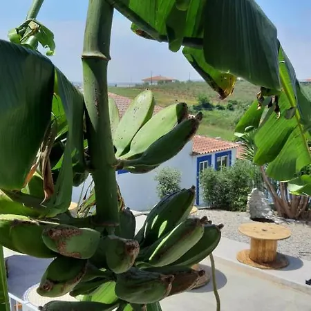 Guest house Maison Vingt-cinq *